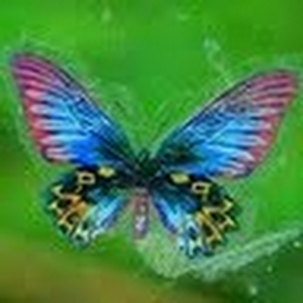 Meet your Posher, Audrey